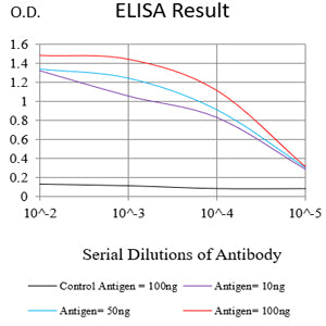 Mouse Monoclonal Antibody to XPC