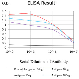 Mouse Monoclonal Antibody to COL2A1