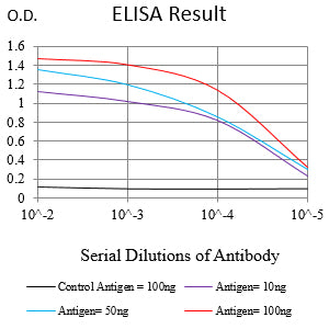 Mouse Monoclonal Antibody to HLA-DRB1