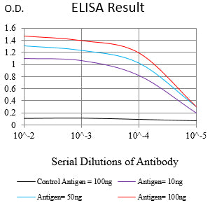 Mouse Monoclonal Antibody to HLA-DRB1