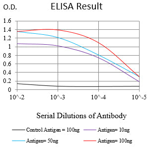 Mouse Monoclonal Antibody to RBMXL3