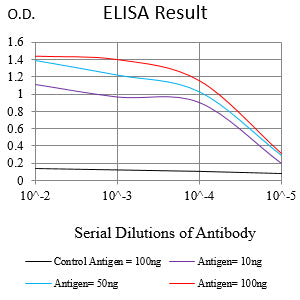 Mouse Monoclonal Antibody to CD81