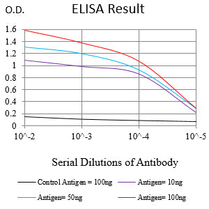 Mouse Monoclonal Antibody to CD81