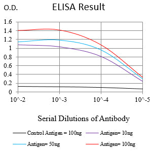 Mouse Monoclonal Antibody to IL10RB