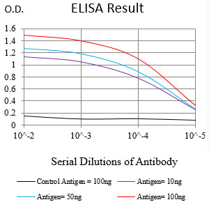 Mouse Monoclonal Antibody to DCLK2