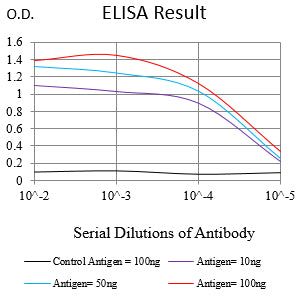 Mouse Monoclonal Antibody to KRT14