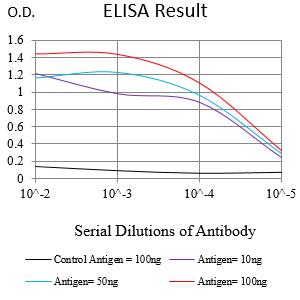 Mouse Monoclonal Antibody to SLC7A3