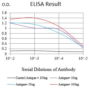 Mouse Monoclonal Antibody to POU5F1