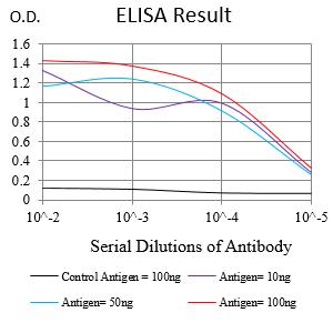 Mouse Monoclonal Antibody to NGB
