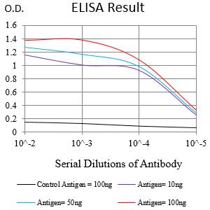Mouse Monoclonal Antibody to SPATA19