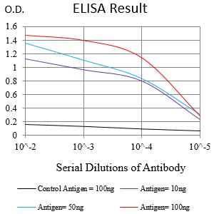 Mouse Monoclonal Antibody to SPATA19