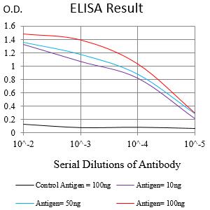 Mouse Monoclonal Antibody to IFNAR1