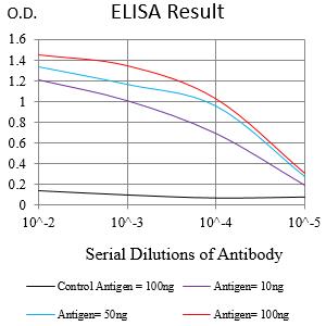 Mouse Monoclonal Antibody to NPM2