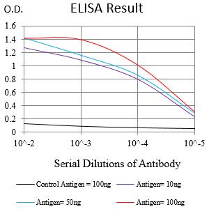 Mouse Monoclonal Antibody to MYOD1