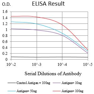 Mouse Monoclonal Antibody to SLC7A3