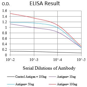 Mouse Monoclonal Antibody to XPC