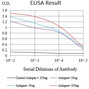 Mouse Monoclonal Antibody to ACAA1