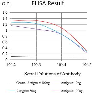 Mouse Monoclonal Antibody to KRT14