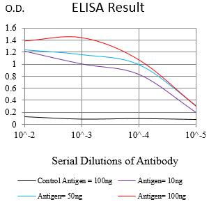 Mouse Monoclonal Antibody to IZUMO4
