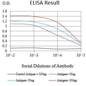 Mouse Monoclonal Antibody to CD156B