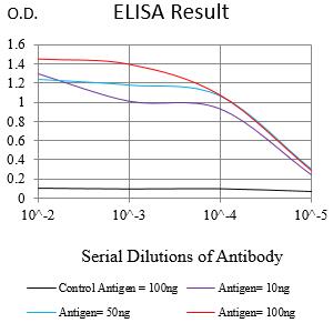 Mouse Monoclonal Antibody to HNF1B