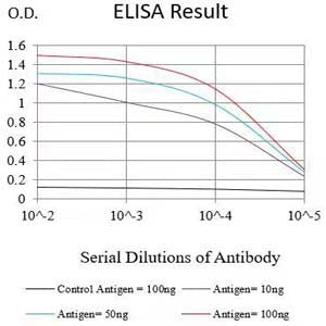 Mouse Monoclonal Antibody to S100A4