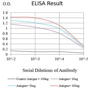 Mouse Monoclonal Antibody to PDHA1