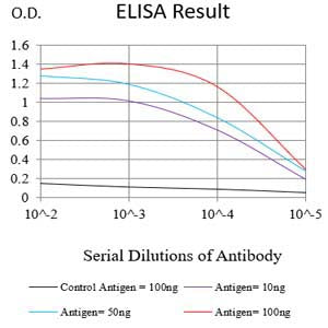 Mouse Monoclonal Antibody to CPT2