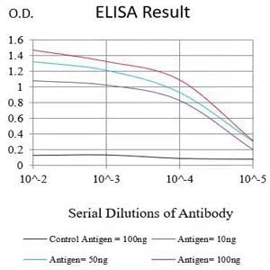 Mouse Monoclonal Antibody to MRP3