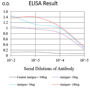 Mouse Monoclonal Antibody to NOTCH4