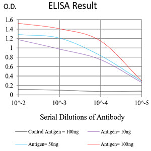 Mouse Monoclonal Antibody to IRF3