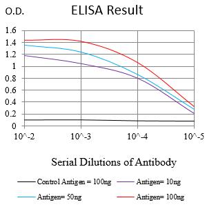 Mouse Monoclonal Antibody to PDHA1