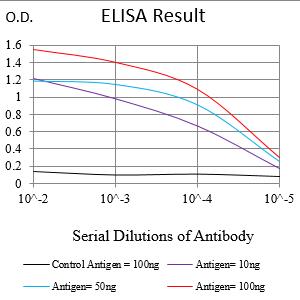 Mouse Monoclonal Antibody to S100A4