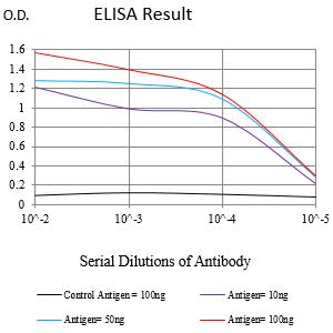 Mouse Monoclonal Antibody to IRF3