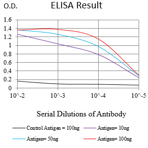 Mouse Monoclonal Antibody to HLA-DPA1