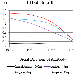 Mouse Monoclonal Antibody to HLA-DPA1