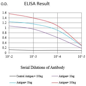 Mouse Monoclonal Antibody to MRE11