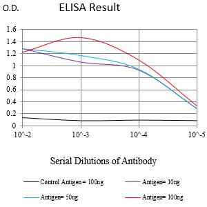Mouse Monoclonal Antibody to HLA-DPB1