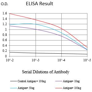 Mouse Monoclonal Antibody to ATM