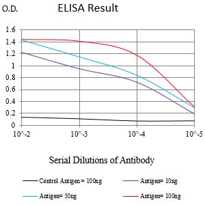 Mouse Monoclonal Antibody to VAMP2