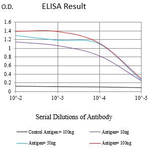 Mouse Monoclonal Antibody to SMAD1