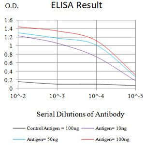 Mouse Monoclonal Antibody to CWP1
