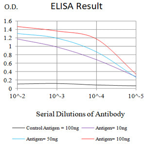 Mouse Monoclonal Antibody to ATP