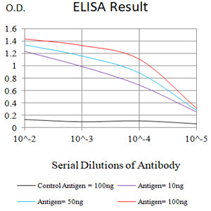 Mouse Monoclonal Antibody to ATP