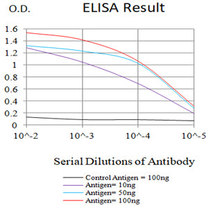 Mouse Monoclonal Antibody to TDP43