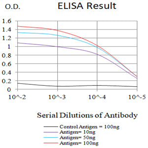 Mouse Monoclonal Antibody to CD205