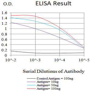 Mouse Monoclonal Antibody to HIF2a