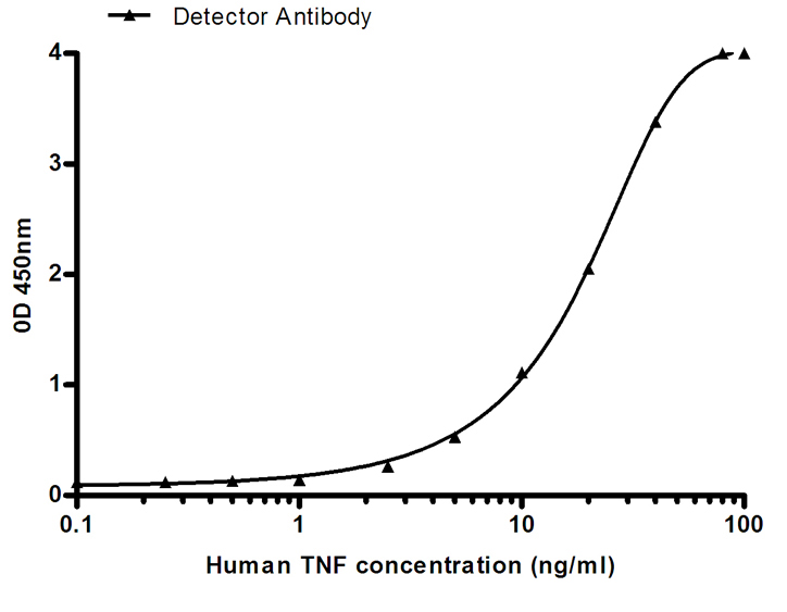 Mouse Monoclonal Antibody to TNF alpha