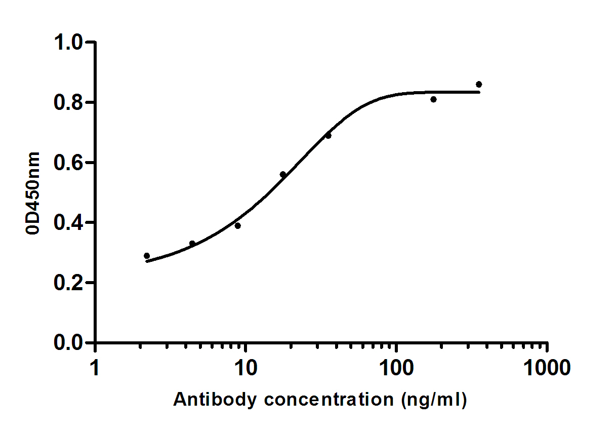 Mouse Monoclonal Antibody to Human IgG