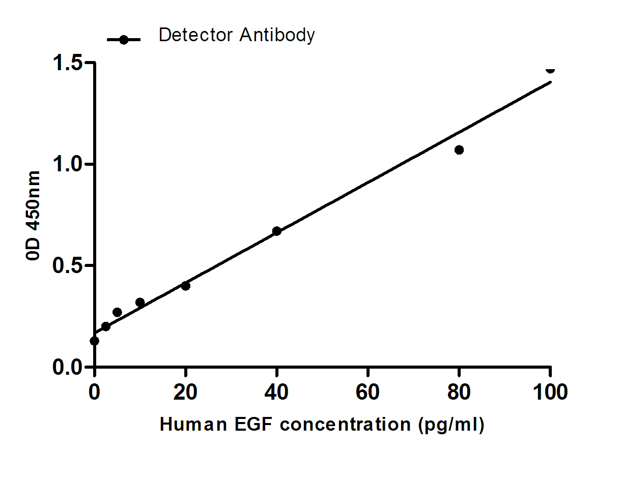 Mouse Monoclonal Antibody to EGF